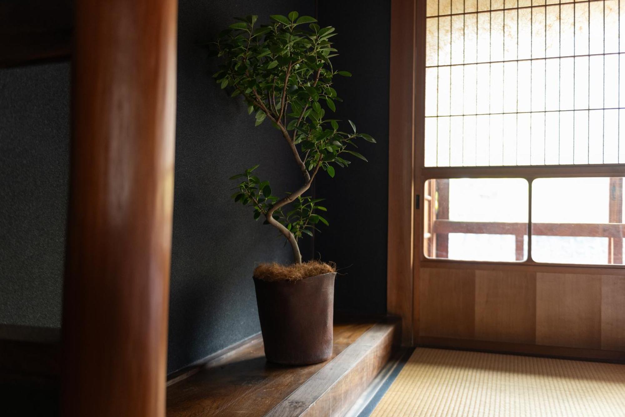 篠山城下町ゲストハウス Quolo Tamba-Sasayama Exterior photo